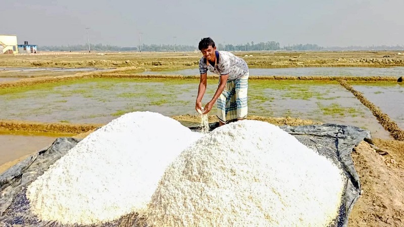 দেশে লবণের উৎপাদন,দেড় লাখ টন অপরিশোধিত লবণ আমদানির অনুমতিতে বিপাকে প্রান্তিক চাষিরা